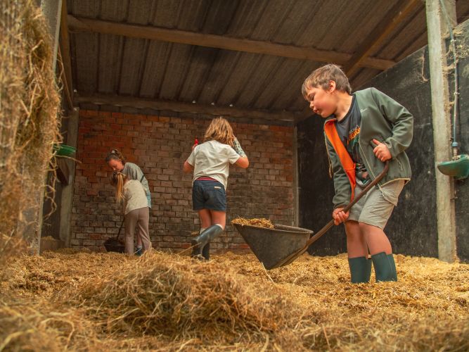 Speel-leerkampen 2026: nieuwe data! Speel-leerkampen 2026: nieuwe data!